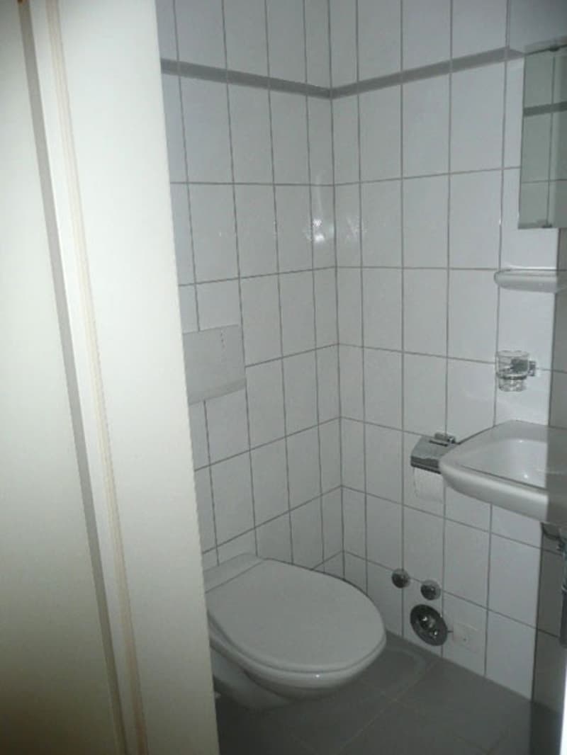 Nähe Bachwiesen - Ihr neues Zuhause - befristet - 31.01.2028! (5)