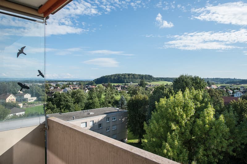 Bright apartment in the heart of Biberist is looking for you. (6)