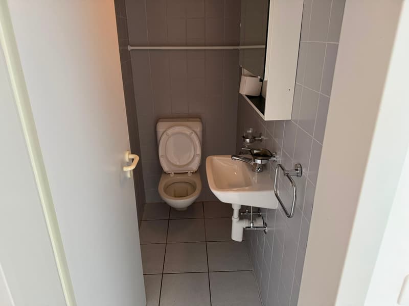 Brightness and practicality in the heart of Viganello (8)