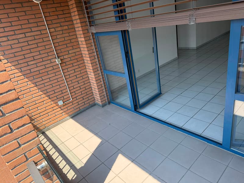 Brightness and practicality in the heart of Viganello (9)