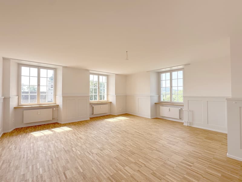 Wohntraum Maisonette im historischen MEIERHOF! (7)