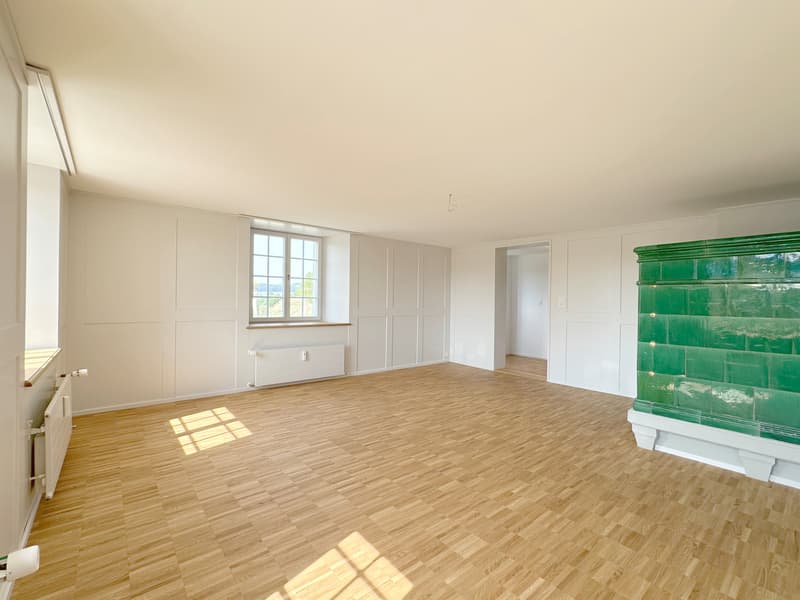 Wohntraum Maisonette im historischen MEIERHOF! (5)