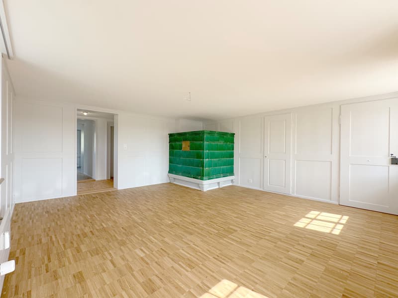 Wohntraum Maisonette im historischen MEIERHOF! (4)
