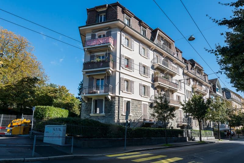 Charming 3-room apartment with balcony (3)