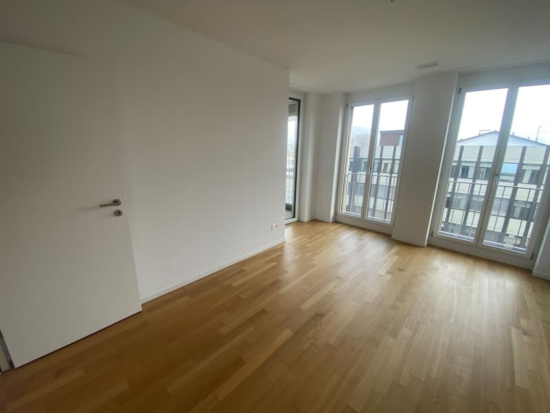 Wunderschönes Wohn-Highlight in Dietikon! (5)