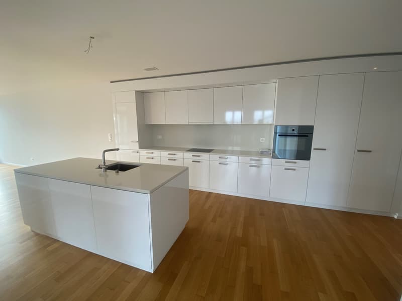 Wunderschönes Wohn-Highlight in Dietikon! (7)