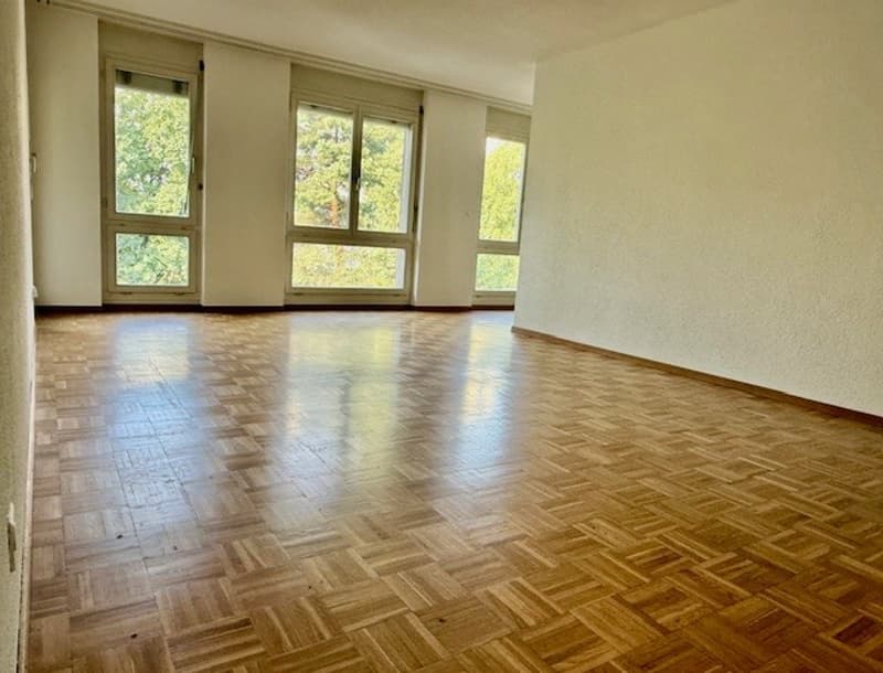 Charming 3.5-room apartment in Biel - move in and enjoy! (3)