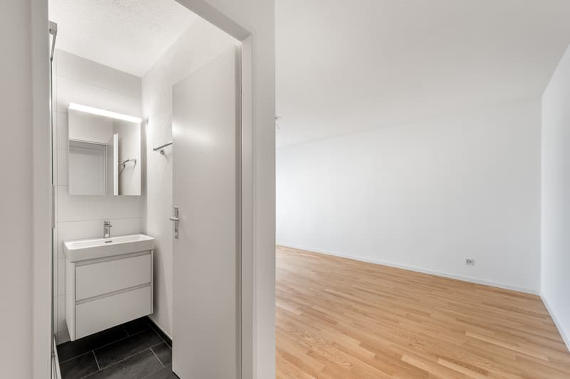 Schöner Wohnen in frisch sanierten Wohnung - Im Herzen von Albisrieden! (9)