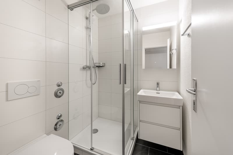 Schöner Wohnen in frisch sanierten Wohnung - Im Herzen von Albisrieden! (10)