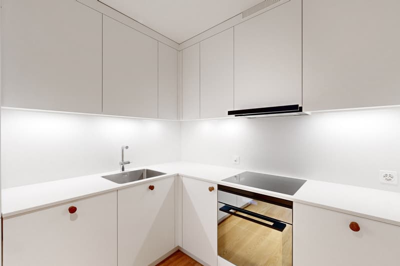 Central single apartment (5)