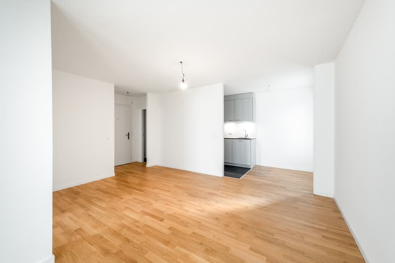 Nel cuore di Zürich-Albisrieden - appena ristrutturato - la tua nuova casa ? (2)