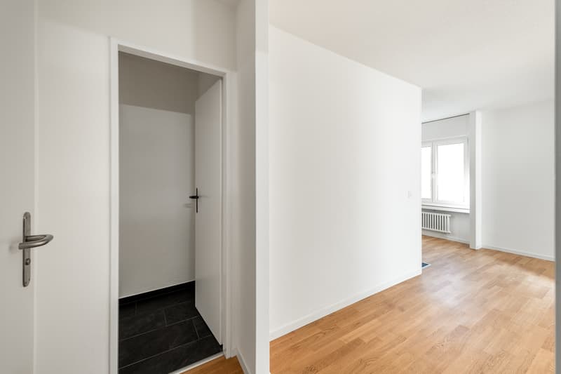 Nel cuore di Zürich-Albisrieden - appena ristrutturato - la tua nuova casa ? (7)