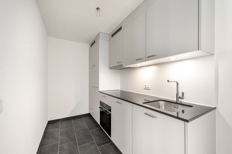 Nel cuore di Zürich-Albisrieden - appena ristrutturato - la tua nuova casa ? (9)