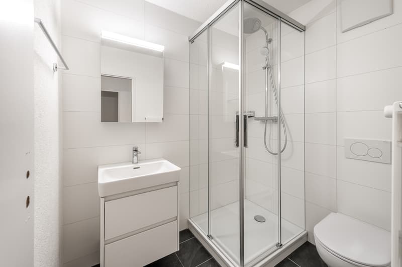 Nel cuore di Zürich-Albisrieden - appena ristrutturato - la tua nuova casa ? (11)