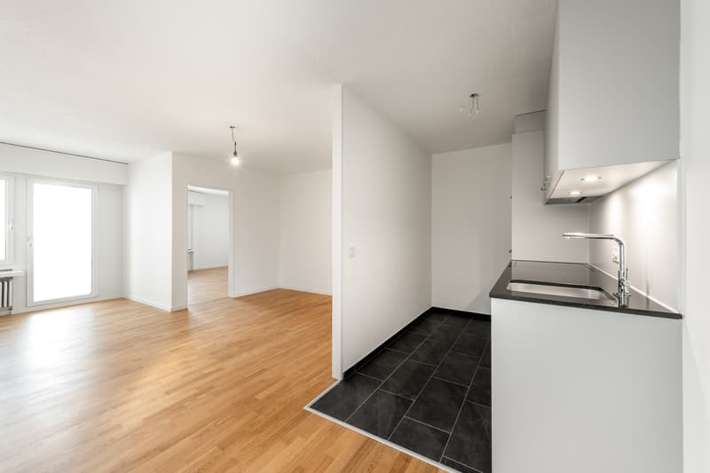 Nel cuore di Zürich-Albisrieden - appena ristrutturato - la tua nuova casa ? (8)