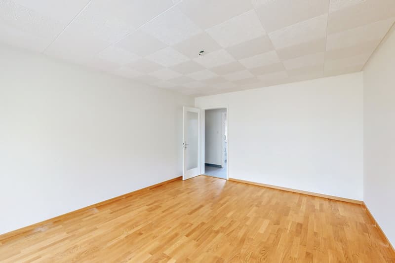 Posizione tranquilla e centrale - vicino a Schwamendingerplatz (5)