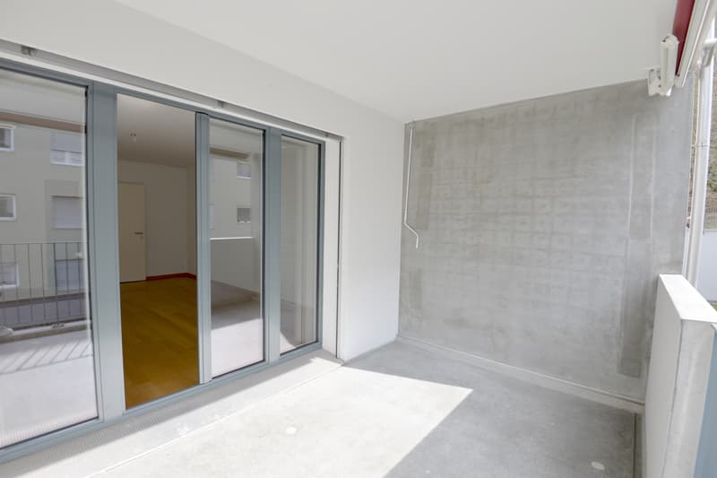 Vivre près de la nature, vivre près de la ville - appartement moderne 4.5 pièces à Lucerne (9)