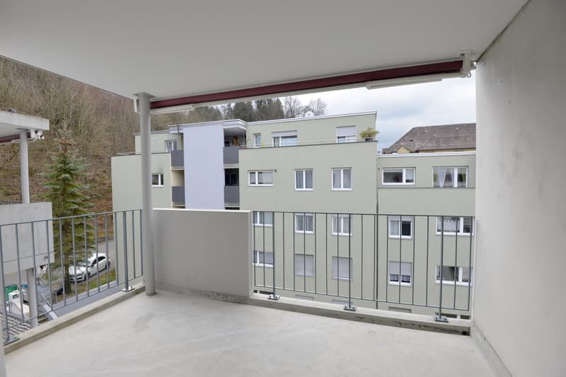 Vivre près de la nature, vivre près de la ville - appartement moderne 4.5 pièces à Lucerne (10)