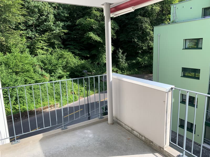 Vivre près de la nature, vivre près de la ville - appartement moderne 4.5 pièces à Lucerne (11)