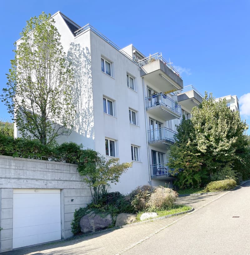 Ideale Singlewohnung mit Gartensitzplatz! (1)