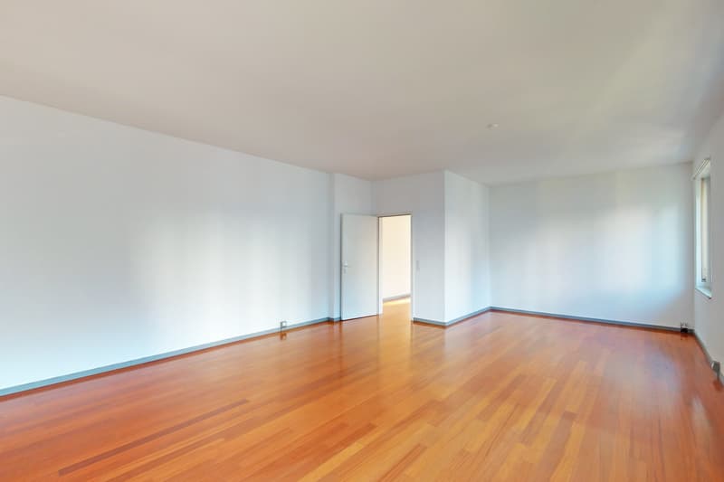 Bienvenue dans votre nouvel environnement de travail au cœur de Bellinzona! (6)