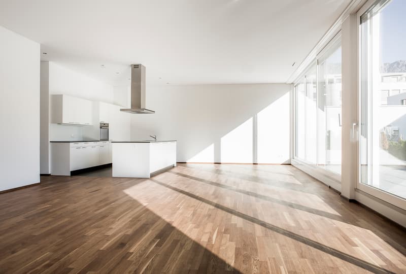 Votre nouvelle maison avec une terrasse magnifique (4)