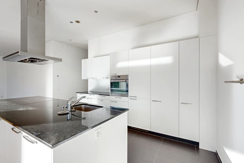 Votre nouvelle maison avec une terrasse magnifique (2)
