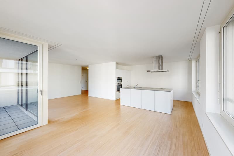 Weissdornhof - l'appartement de ville plus beau à Dietikon (4)