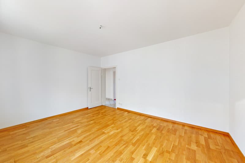 Beautiful apartment in the Zurich city center (4)