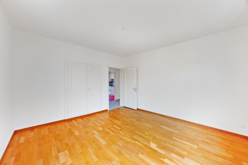 Beautiful apartment in the Zurich city center (3)