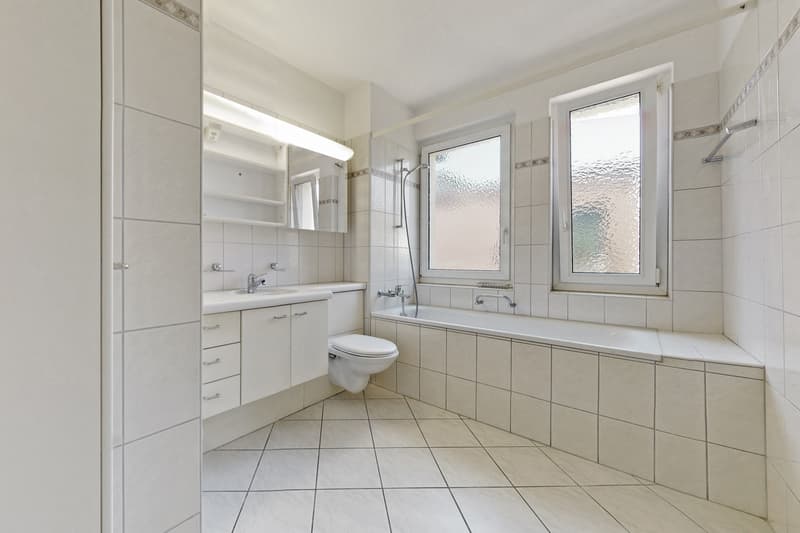 Beautiful apartment in the Zurich city center (8)