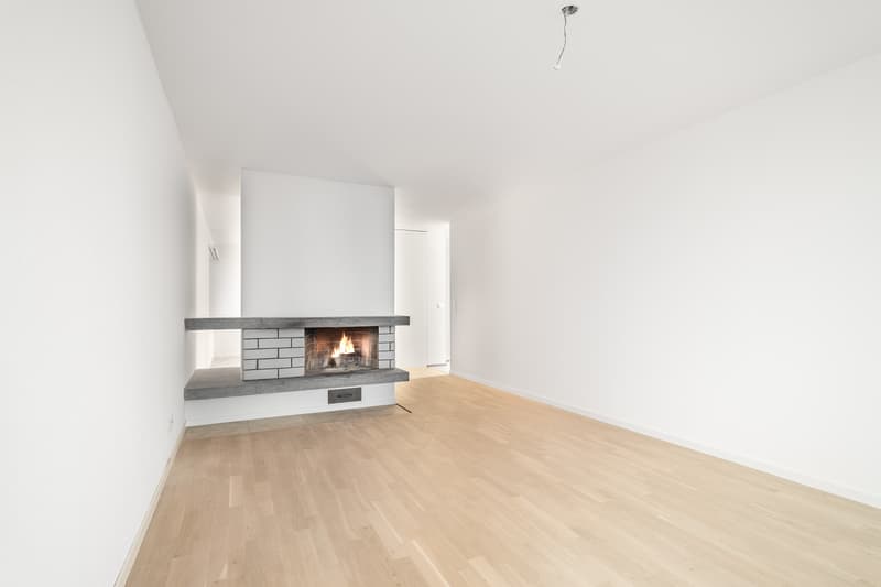 Appartement moderne avec balcon sud (7)