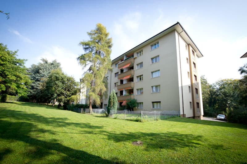 Appartamento in un quartiere tranquillo e verde - Contratto a termine fino al 28.02.2027 (4)