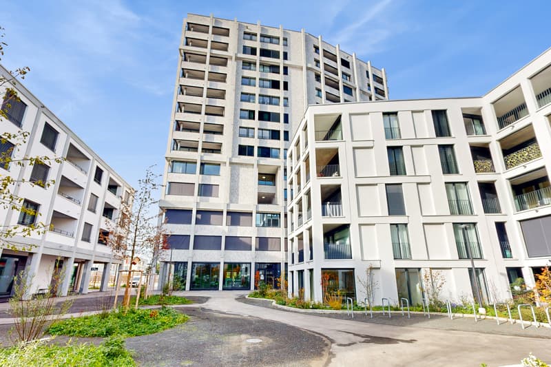 Appartamento moderno 4.5 locali con una vista meravigliosa ad Aesch (1)