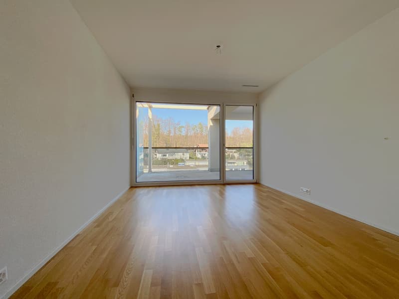 Appartement moderne dans un excellent emplacement à Uster (4)