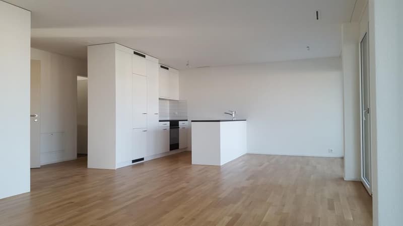 Appartement moderne dans un excellent emplacement à Uster (3)
