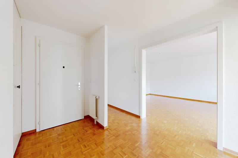 Geräumige Wohnung zur Miete in Montreux (6)
