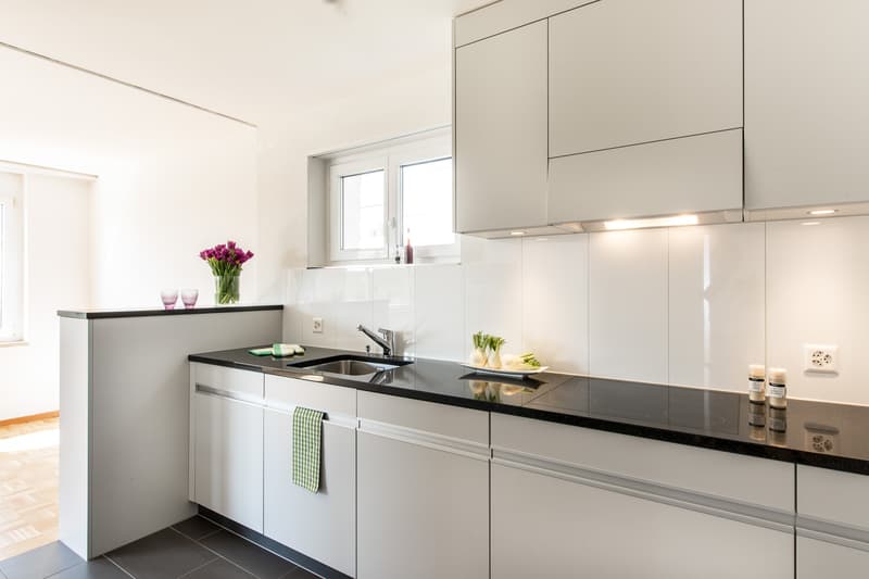 Welcome to your new apartment in the east of St. Gallen (3)