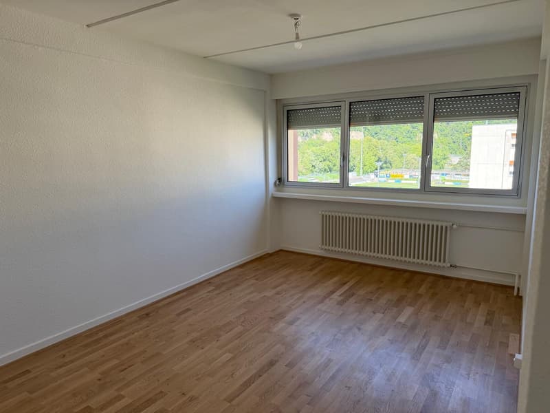 Genießen Sie den Charme von Carouge in einer grünen und familiären Umgebung (5)
