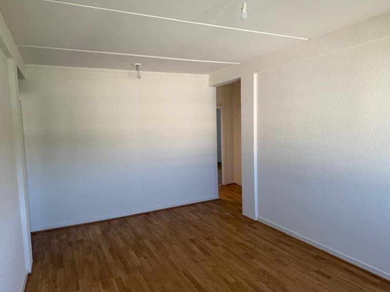 Genießen Sie den Charme von Carouge in einer grünen und familiären Umgebung (6)