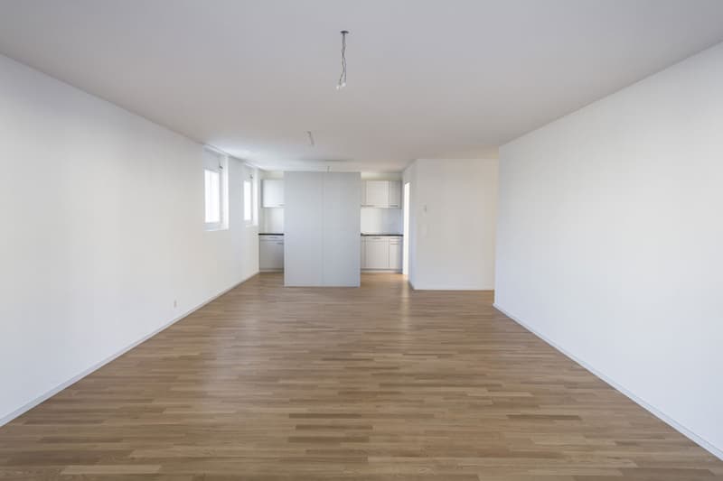 Appartamento moderno e spazioso (4)