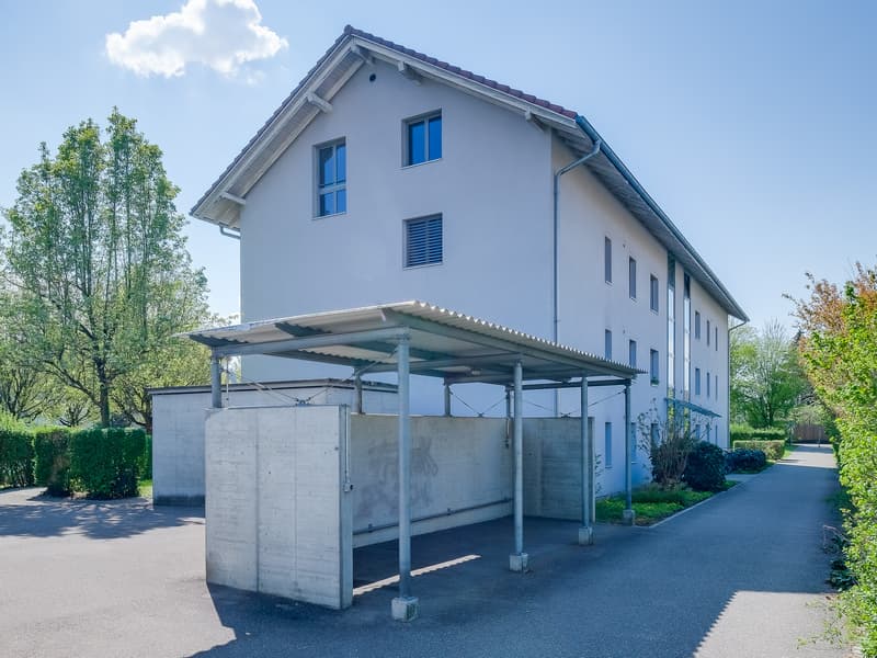 Erste eigene Wohnung (1)