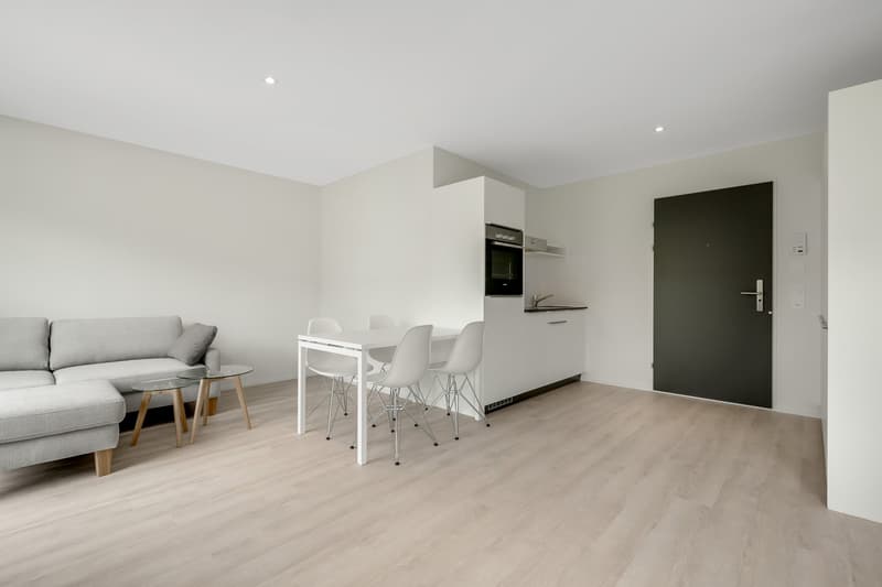 Furnished Single Apartment - Rent without Deposit! (2)