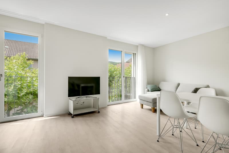 Furnished Single Apartment - Rent without Deposit! (3)