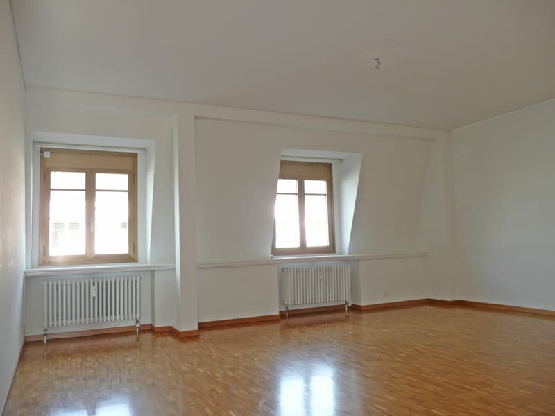 Appartement dans un excellent emplacement à Zurich ! (3)