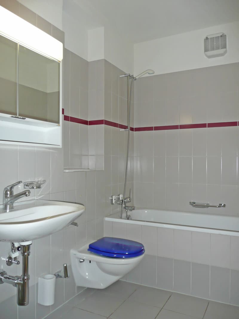 Appartement dans un excellent emplacement à Zurich ! (6)