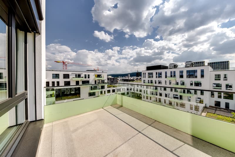 Genial apartment with very large terrace (7)