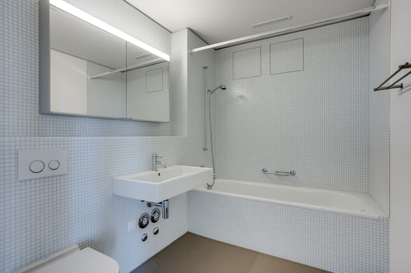 Genial apartment with very large terrace (6)