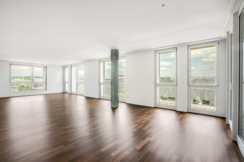 Genial apartment with very large terrace (4)
