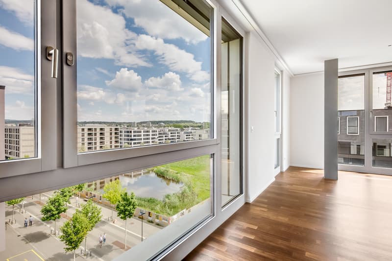 Genial apartment with very large terrace (3)
